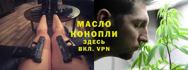 индика Артём