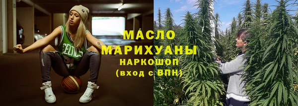 индика Артём