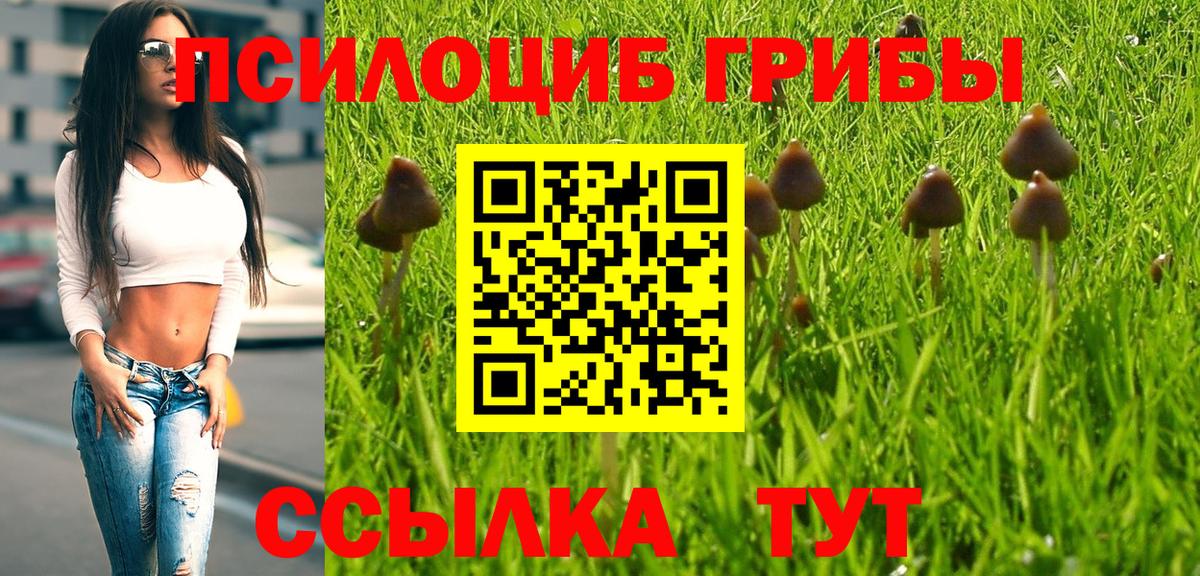 Галлюциногенные грибы прущие грибы Борисоглебск