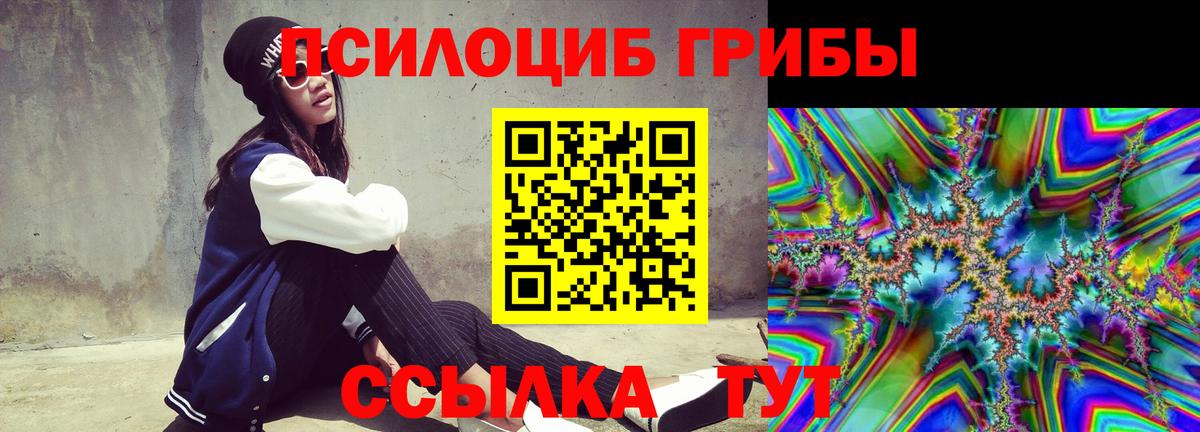 Псилоцибиновые грибы Cubensis  Псилоцибиновые грибы прущие грибы  Борисоглебск 